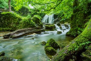 Janets Foss, Yorkshire