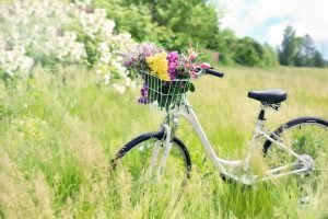 Bicycle in a Meadow