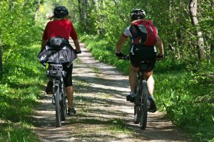 People cycling through the woods