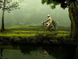 Man riding a bicycle in the countryside, top tips for keeping fit