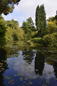 lake in country house gardens