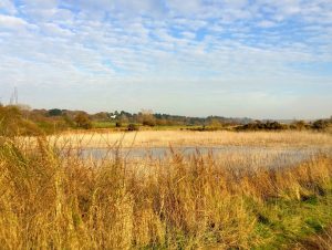 River Orwell